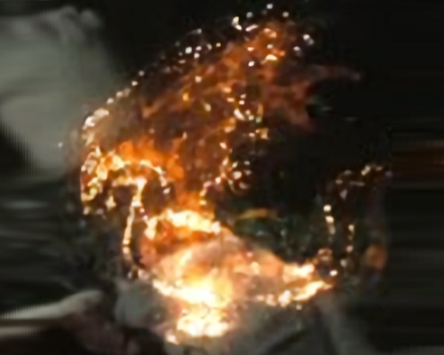 Fire Dragon